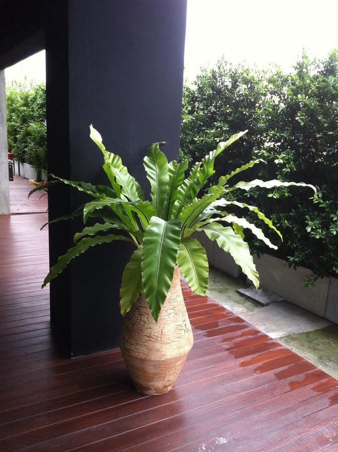 The Logbook Room And Cafe' Chonburi Buitenkant foto